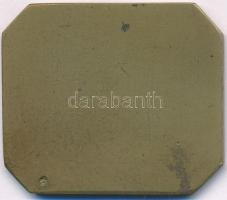 1914. "Honvéd roham" egyoldalas bronz plakett, hátoldalán "BSW (Bruder Schneider Wien...