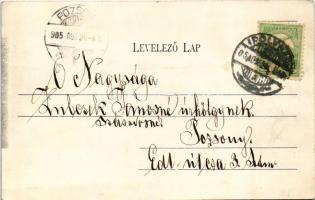 1905 Ipolyság, Sahy; Ipoly híd, templom. Neumann Jakab kiadása / Ipel river bridge, church