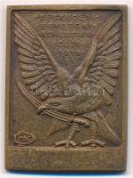 ~1920-1930. Debreceni Egyetemi Athletikai Club 1919 - DEAC egyoldalas bronz plakett (42x31mm) T:1- kis patina