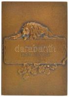 1931. "GYAMC 1931. aug. 20. (Győri Automobil és Motor Club)" bronz díjplakett (37x53mm) T:...