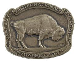 1927. X.Internationalis Zoologicus Congressus Budapest fém kitűző, hátoldalon BERÁN N BUDAPEST DÖBRENTEI U. 2. gyártói jelzéssel (32x40mm) T:1-,2