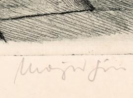 Major János (1934-2008): Margitsziget. Rézkarc, papír, jelzett, kartonra kasírozva, 39×29 cm