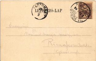 1901 Rozsnyó, Roznava; látkép. Falvi Jenő kiadása / general view (EK)