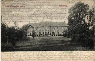 1905 Felsőireg (Iregszemcse), Báró Schossberger kastély. Merbl Fülöp és Fiai kiadása (EK)
