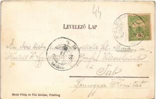 1905 Felsőireg (Iregszemcse), Báró Schossberger kastély. Merbl Fülöp és Fiai kiadása (EK)