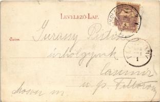 1900 Miskolc, Diósgyőri várrom. Ferenczi B. kiadása (kis szakadás / small tear)