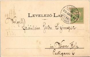 1905 Kaposvár, Fő utca, Első Magyar Biztosítótársaság főügynöksége, Takarékpénztár, üzletek. Szabó L...