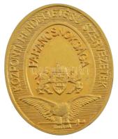 1996. Központi Rendeltetésű Szervezetek Parancsnoksága 1971-1996 aranyozott fém emlékérem (31x26mm) T:1-