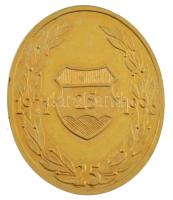 1996. "Központi Rendeltetésű Szervezetek Parancsnoksága 1971-1996" aranyozott fém emlékére...
