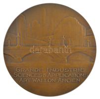 Belgium 1930. "Nemzetközi Vásár Liege" bronz plakett. Szign: Witterwulche (70mm) T:1-
Bel...