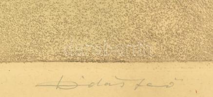 Dudás Jenő (1900-1991): Tihanyi konda. Színezett rézkarc, papír, jelzett. Dekoratív, üvegezett, kiss...