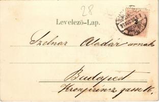 1898 (Vorläufer) Glückliches Neues Jahr! / New Year greeting art postcard with pig. litho (fl)