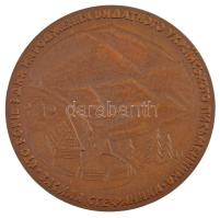 Ukrajna 1971. "Vaszil Stefanik ukrán író születésének 100. évfordulója 1871-1971" kétoldal...