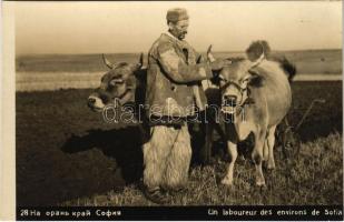 1929 Sofia, Sophia, Sofiya; Un laboureur des environs / farmer with oxen, folklore . photo