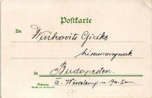 Der Grunzochs. Das weisschwänzige Gnu. Der ruhende Tiger. Der weisse Büffel. Zwerg Zebu. Dreihörnige...