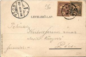 1902 Apatin, Téli kikötő. Gasz M. kiadása / Winterhafen / winter port (EB)