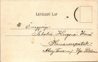 1905 Nagyszőlős, Nagyszőllős, Vynohradiv (Vinohragyiv), Sevlus; Római katolikus templom, Ugocsai Köz...