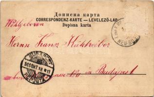 1900 Bilek, Jubiläumsbrunnen / street view, well, fountain (Rb)