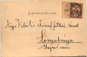 1901 Budapest VIII. Új vásártér, most kert-sétatér (ma II. János Pál pápa tér). Ganz Antal 117. (EK)