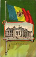 1906 Iasi, Jasi, Jassy, Jászvásár; Teatrul National / National Theatre. Art Nouveau litho with Romanian flag (b)