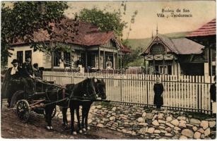 Brodina, Brodina de Sus (Bukovina, Bukowina); Vila Teodorescu / villa, horse-drawn carriage (r)