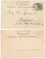 Hódmezővásárhely, Nyizsnyai Gusztáv zeneköltő szobor. Grossmann Benedek utóda kiadása - Szecessziós ...