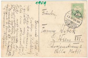 1909 Temesvár, Timisoara; Józsefváros, Scudier tér, piac, Rosner Menyhért, Deutsch üzlete / Iosefin,...