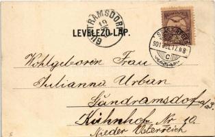 1901 Szászrégen, Reghin; Vásártér, piac, üzletek. Weiss & Dreykurs. Rudolf Burghardt kiadása / m...