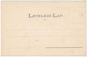 Arad, Schaefer Richard Géza épület-műlakatos és csatornázás-vízvezetékberendező műhelye. Batthyány u...