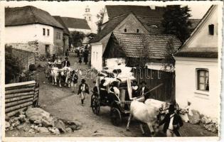 Székelyudvarhely, Odorheiu Secuiesc; ökrös szekerek / ox carts. Kováts István photo