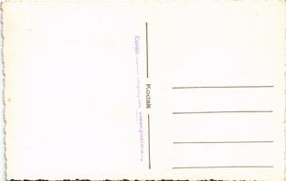 Székelyudvarhely, Odorheiu Secuiesc; ökrös szekerek / ox carts. Kováts István photo