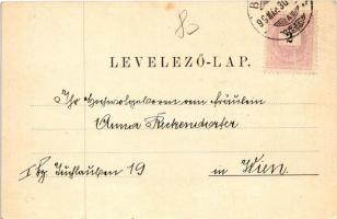 1899 (Vorläufer) Brassó, Kronstadt, Brasov; Schlossberg, v. der Postwiese, Martinskirche / Fellegvár...