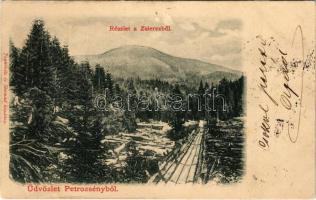 1902 Petrozsény, Petrosani; részlet a Zsierczből. Joanovits és Sternád kiadása / forest (apró szakadás / tiny tear)