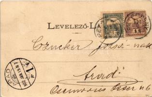 1902 Petrozsény, Petrosani; részlet a Zsierczből. Joanovits és Sternád kiadása / forest (apró szakad...