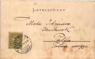 1905 Nagyenyed, Aiud; az 1600. évi Miriszlói csata emlékműve, 1848. jan. 8. elesett honvédek sírkert...