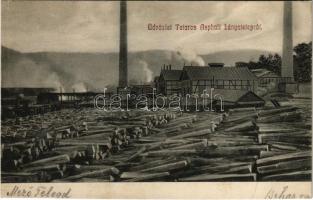 1910 Tataros, Brusturi; Asphalt bányatelep, fűrésztelep / mine, sawmill (vágott / cut)