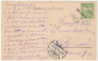 1909 Marosludas, Ludosul de Mures, Ludus; Az új vashíd építés alatt. Glück József kiadása / the new ...