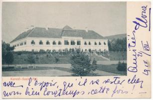 1910 Kerelőszentpál, Kerelő-Szent-Pál, Sanpaul; Haller kastély. Taussig A. 9610. / castle (apró szakadás / tiny tear)