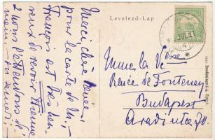 1910 Kerelőszentpál, Kerelő-Szent-Pál, Sanpaul; Haller kastély. Taussig A. 9610. / castle (apró szak...