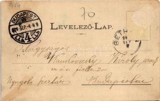 1901 Bethlen, Beclean; Bethlen Pál gróf kastélya és park. Kajári István kiadása / castle park (Rb)