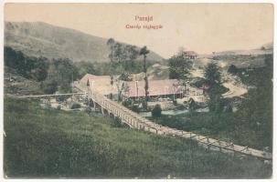 1914 Parajd, Praid; Cserép téglagyár. Stein Izidor kiadása / brick tile factory, brickyard (EK)