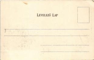 Kolozsvár, Cluj; Szamos híd és környéke, gyógyszertár, Wertheimer Vilmos, Kőmíves Andor üzlete, piac...