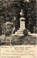 1903 Buziás, Buziásfürdő, Baile Buzias; Trefort Ágoston miniszter mellszobra. Huzly István kiadása / Minister Trefort Büste / monument, statue (EK)