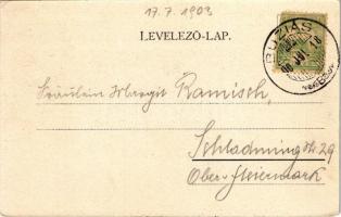 1903 Buziás, Buziásfürdő, Baile Buzias; Trefort Ágoston miniszter mellszobra. Huzly István kiadása /...