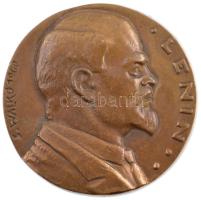 Solymári Valkó László (1909-1984) 1960. "Vlagyimir Iljics Lenin" egyoldalas bronz emlékérem (81mm) T:1- kis patina