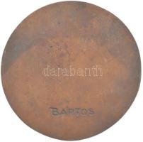 Bartos Endre (1930-2006) DN "Női portré" egyoldalas, öntött bronz plakett, hátoldalán &quo...