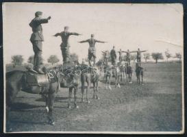 1933 Katonai újonckiképzés lovon állva, egyensúlyt tartva, hátoldalon feliratozott fotó, felületén törésnyom, 3×4 cm