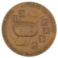 Izrael 1988. XXVI. Nyári Olimpia - Szöul 1988 / Erősítsd derekadat, keményítsd meg erődet. Náhum 2.1 kétoldalas bronz emlékérem, peremén 0579 sorszámmal, eredeti Israel Government Coins and Medals Corp. tokban (69mm) T:1- patina Israel 1988. XXVI Olympic Games - Seoul 1988 / Brace yourselves put forth all your strength. Nahum 2.1 two-sided bronze commemorative medallion with serial number 0579 on the edge, in its original Israel Government Coins and Medals Corp. case (69mm) C:AU patina