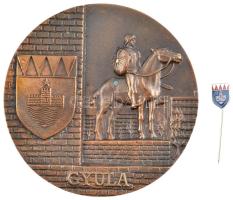 DN Gyula egyoldalas bronz emlékérem eredeti tokjában (101mm) + Gyula címerét ábrázoló zománcozott fém kitűző (13mm) T:1,1- kis patina