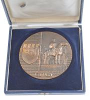 DN "Gyula" egyoldalas bronz emlékérem eredeti tokjában (101mm) + Gyula címerét ábrázoló zo...